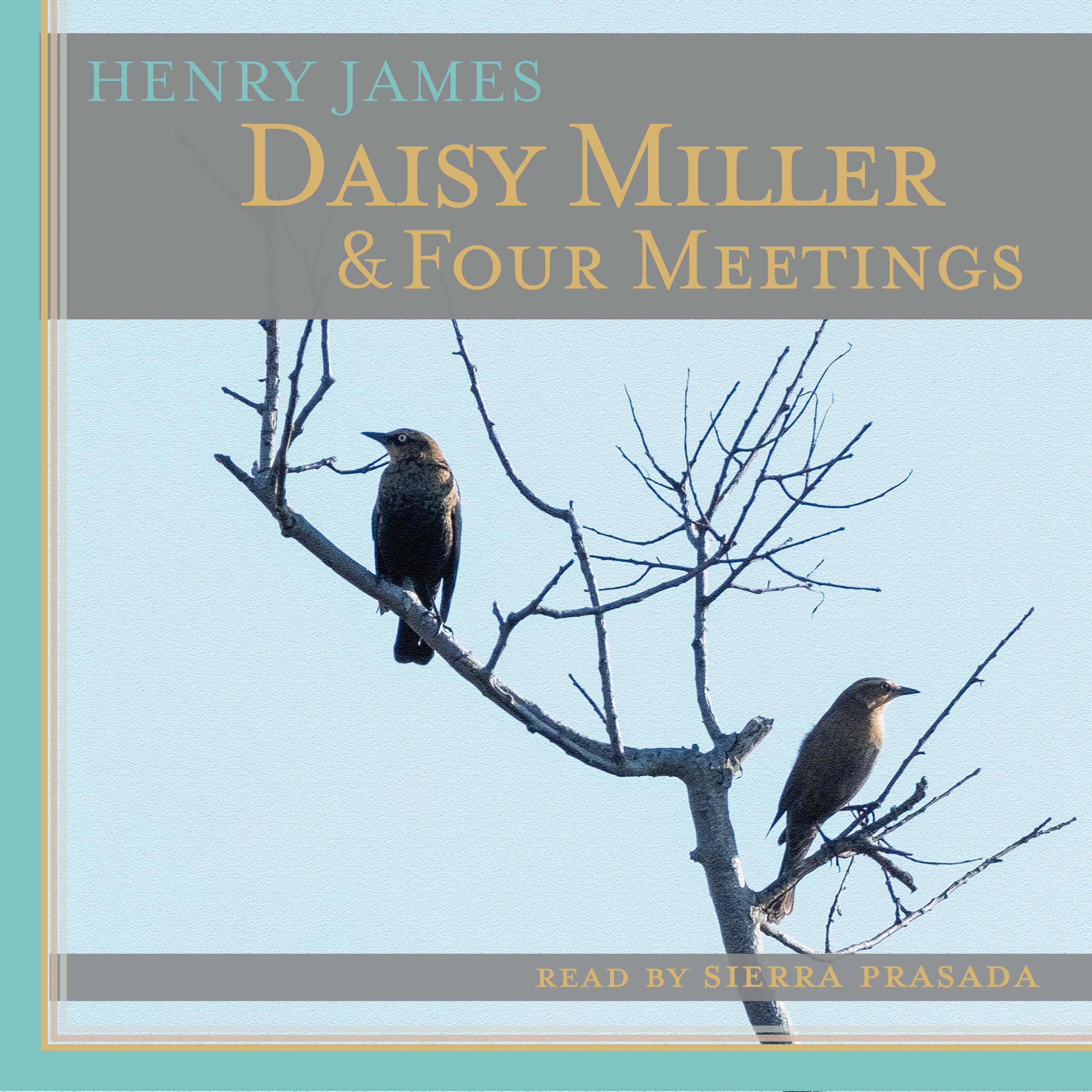 Audiobook Cover